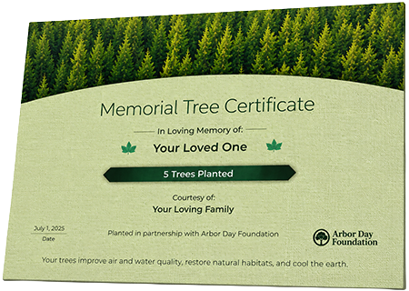 Plant Trees in Memory of Karen Denise Clark